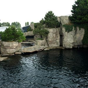 Rotterdam Zoo - Sea lion exhibit