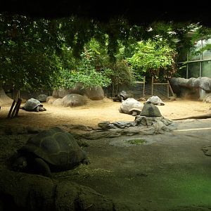 Rotterdam Zoo - Galapagos exhibit