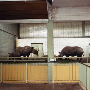 Zoo Magdeburg
