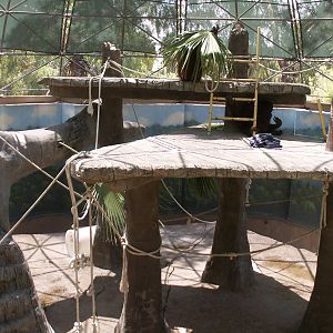 orang exhibit.... so bad