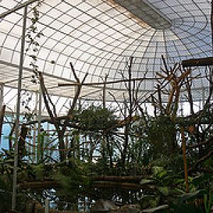 Régi majomház - Old monkey house