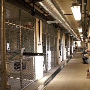 asian forest sanctuary - holding area