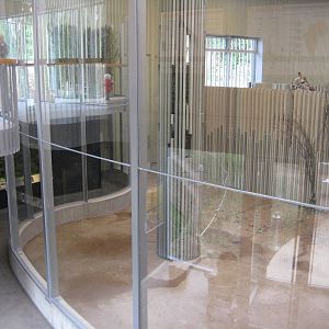 New Giraffe House View from the Gallery