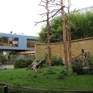 Mandrill Exhibit with zoo Main entrance