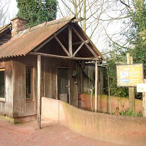 Echidna enclosure at Planckendael Jan 09