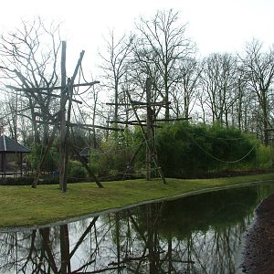Gibbon island at Planckendael Jan 09