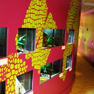 Sauria Jan-2009 (Reptilezoo in Delft)