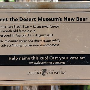 new bear info sign
