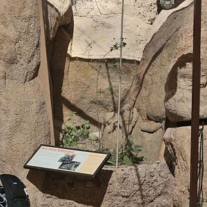 outdoor snake exhibit