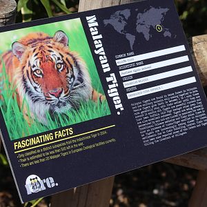 Tiger signage, April 2015