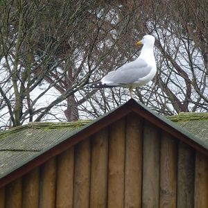 Bioparco di Roma 5.4.15