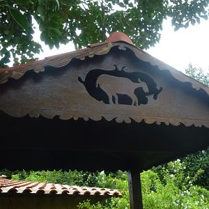 Bioparco di Roma 5.4.15