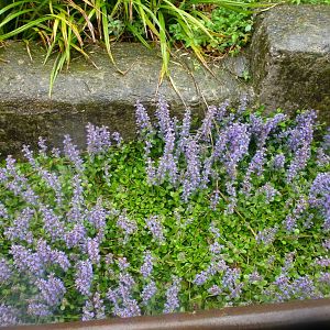 Bioparco di Roma 5.4.15