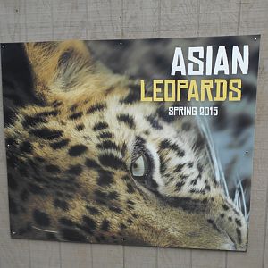Asian leopard exhibits coming Spring 2015