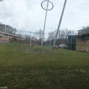 Part of Future Enclosure for Chimps