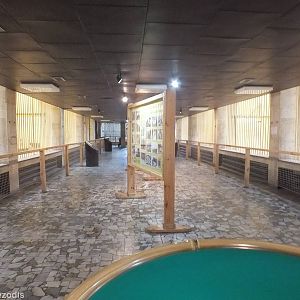 Inside of African Exhibit