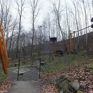 One of the Aviaries for Lammergeier