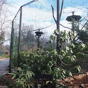 One of the Aviaries in the Chinese Garden - This one for Himalayan Monal an
