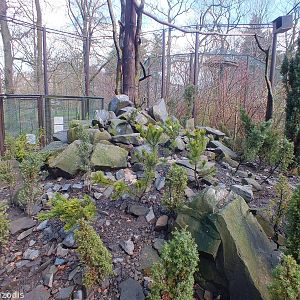 Inside one of the aviaries - Chinese Garden