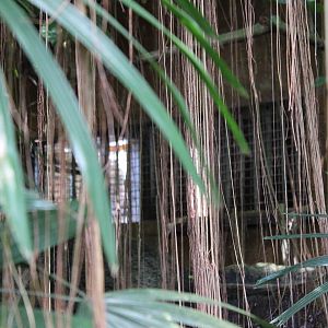 Puma Off Exhibit Area