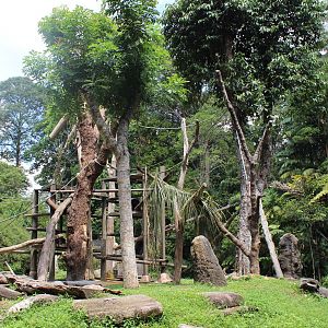 Chimpanzee Enclosure