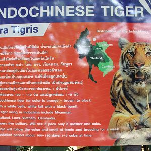 Indo-Chinese Signage