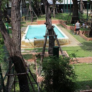 Enclosure for Large Tigers