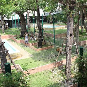 Enclosure for Large Tigers