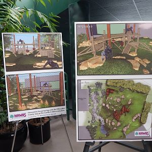 Apr. 2015 - Apes of Africa - Primates of the World - Gorilla Exhibit Renova