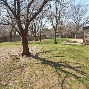 Apr. 2015 - Australia - Emu + Red Kangaroo Exhibit