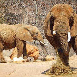 Apr. 2015 - Africa - Asia - South America - Brittany + Ruth