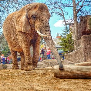 Apr. 2015 - Africa - Asia - South America - Ruth