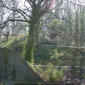 Orang Island Then and Now #2. April 2015