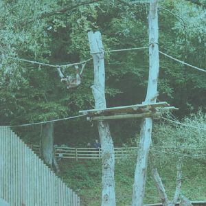 Orang Island Then and Now #1. 1997