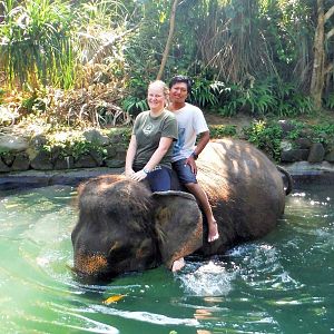 Going for a swim - Bali Zoo 2015