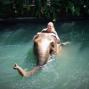 Going for a swm - Bali Zoo 2015