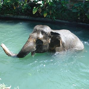 Terry having a good time.