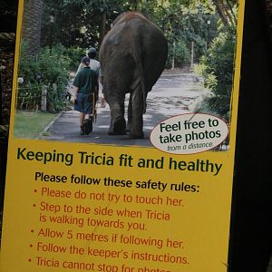 Elephant walks sign.