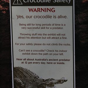 Crocodile signage