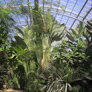 Inside Tropical Hall