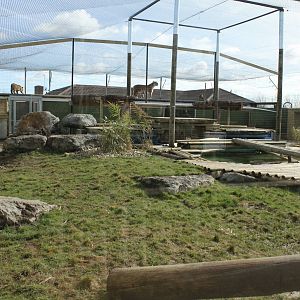 Tiger enclosure 2-4-15