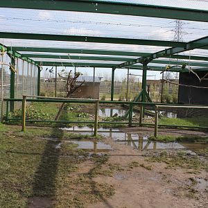 Walk-in aviary. 2-4-15