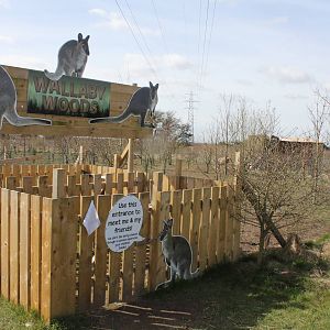 Wallaby woods entrance. 2-4-15