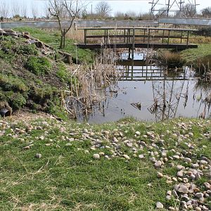 Short clawed otter enclosure. 2-4-15