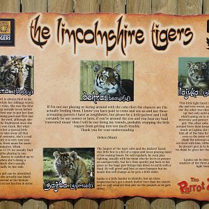 Tiger identification sign. 2-4-15
