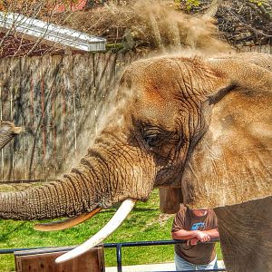 Apr. 2015 - Africa - Asia - South America - Ruth Throwing Sand