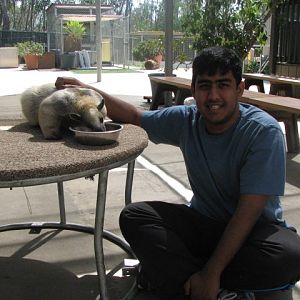 Me and tamandua