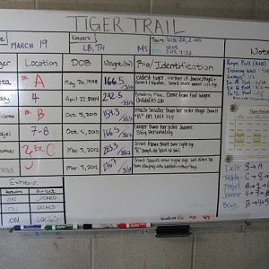 Tiger Trail chart