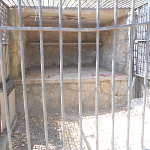 Former cat cage