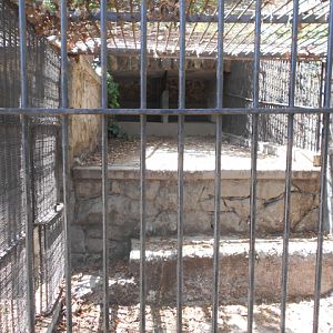 Former cat cage
